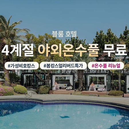 Bloom Hotel Jeju Buitenkant foto